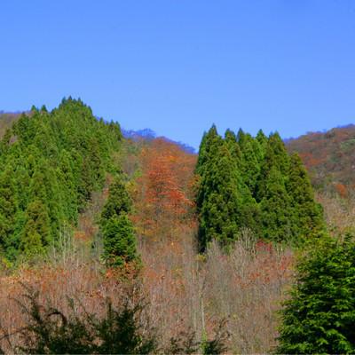龙山至桑植高速最新进展简报