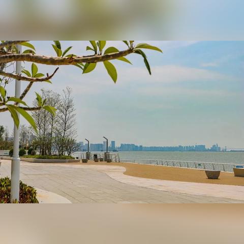 汕头港务集团最新消息动态