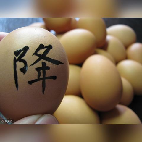 2025年纸箱厂市场趋势深度解析