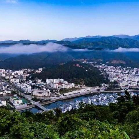 苍溪2025年领导班子最新概况解读