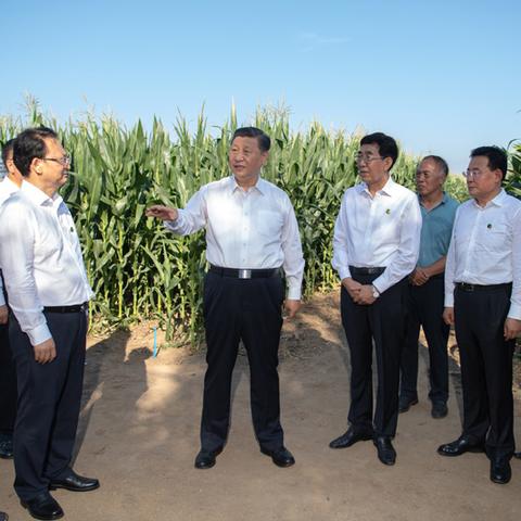 东北发展动态更新