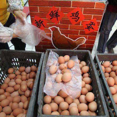 食品经营 第94页