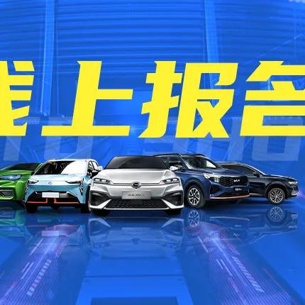 唐山白菜最新价格行情分析