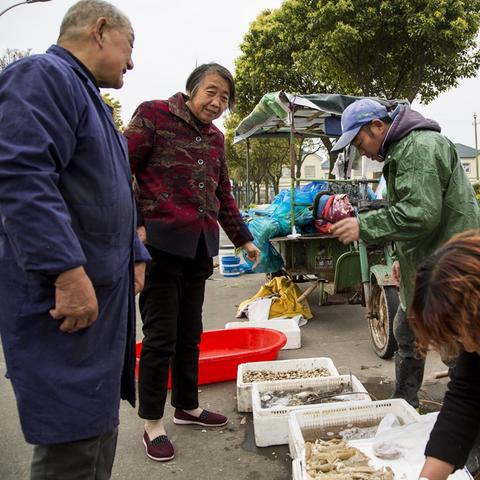 安徽非法码头整治最新进展消息
