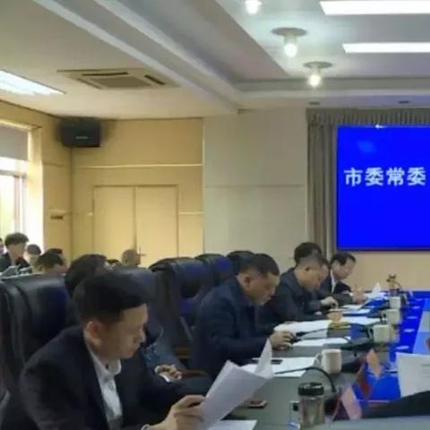 岳阳市委常委名单更新发布